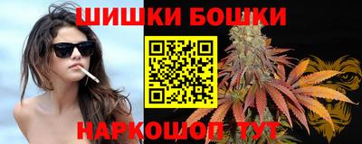 Альфа ПВП Будённовск