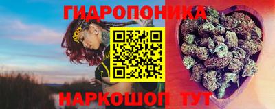 Альфа ПВП Будённовск