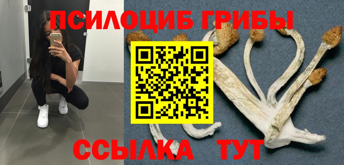 как найти закладки  Псилоцибиновые грибы Psilocybe  Вход с VPN  Приморско-Ахтарск  Галлюциногенные грибы прущие грибы 